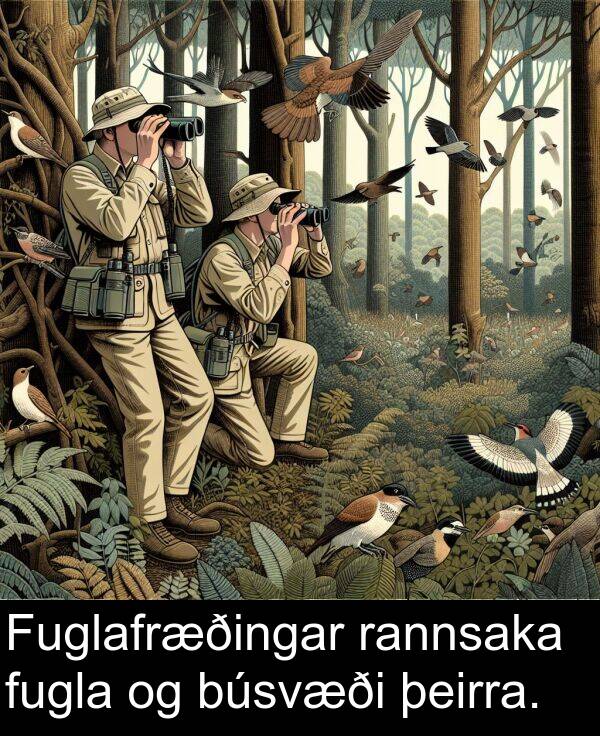 rannsaka: Fuglafræðingar rannsaka fugla og búsvæði þeirra.