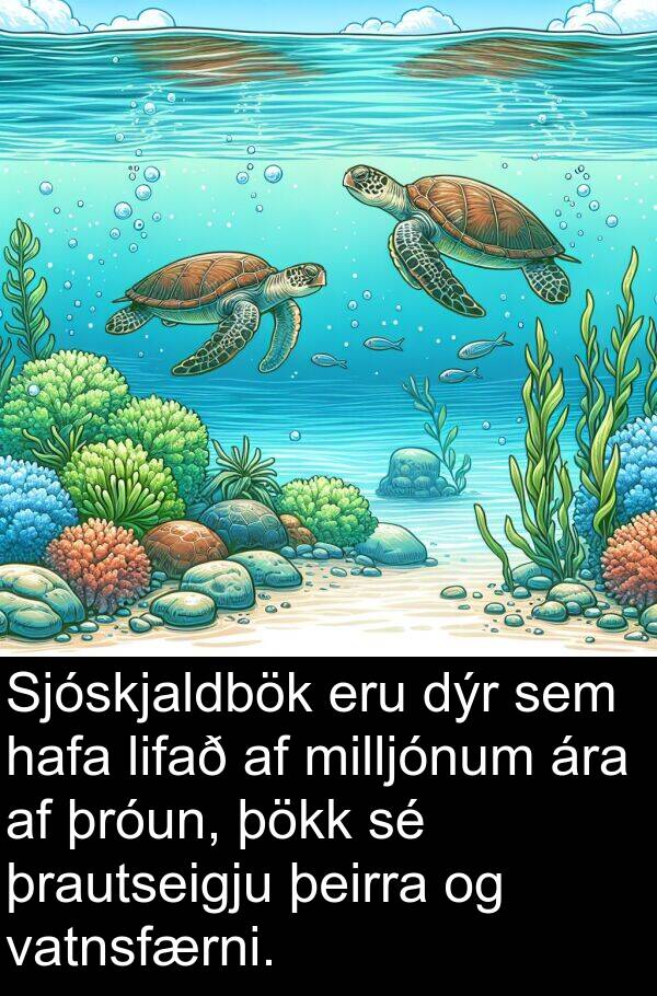 þökk: Sjóskjaldbök eru dýr sem hafa lifað af milljónum ára af þróun, þökk sé þrautseigju þeirra og vatnsfærni.