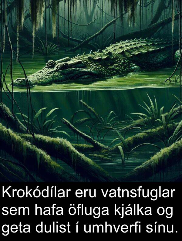 vatnsfuglar: Krokódílar eru vatnsfuglar sem hafa öfluga kjálka og geta dulist í umhverfi sínu.