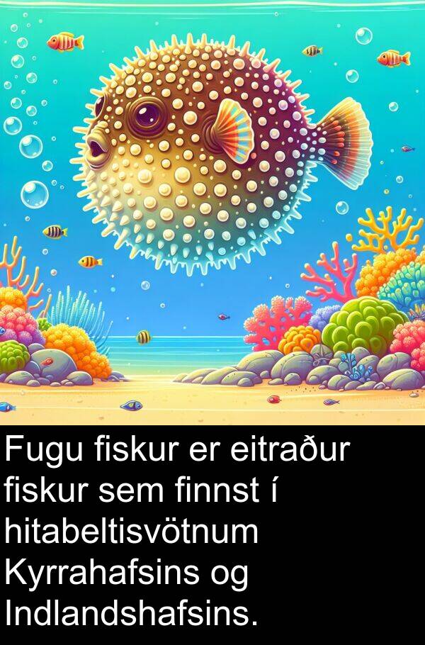 finnst: Fugu fiskur er eitraður fiskur sem finnst í hitabeltisvötnum Kyrrahafsins og Indlandshafsins.