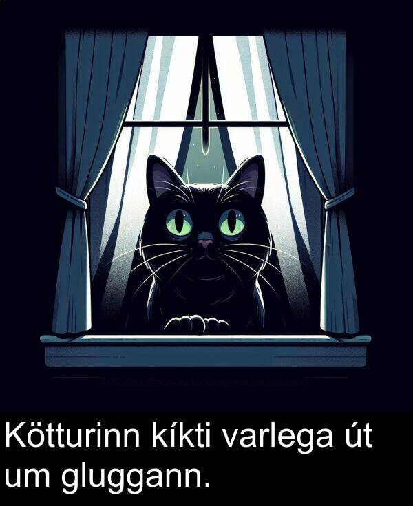 gluggann: Kötturinn kíkti varlega út um gluggann.