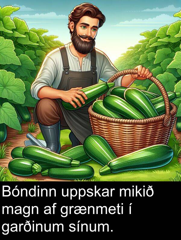 garðinum: Bóndinn uppskar mikið magn af grænmeti í garðinum sínum.