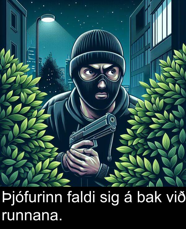 faldi: Þjófurinn faldi sig á bak við runnana.