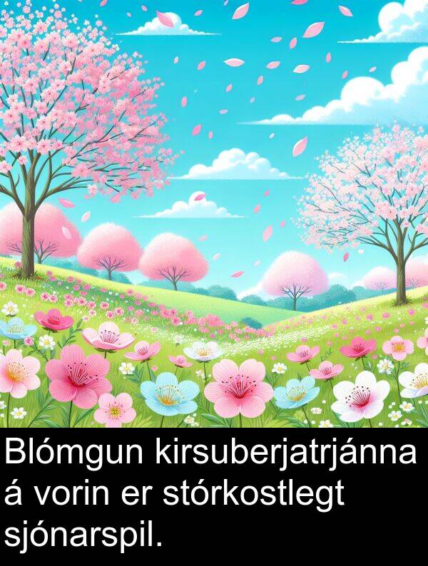 kirsuberjatrjánna: Blómgun kirsuberjatrjánna á vorin er stórkostlegt sjónarspil.