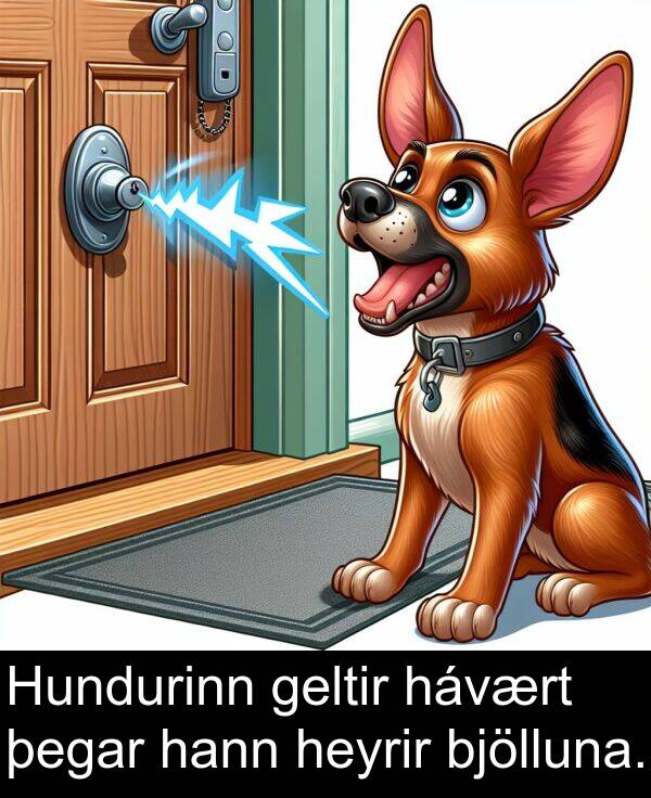 þegar: Hundurinn geltir hávært þegar hann heyrir bjölluna.
