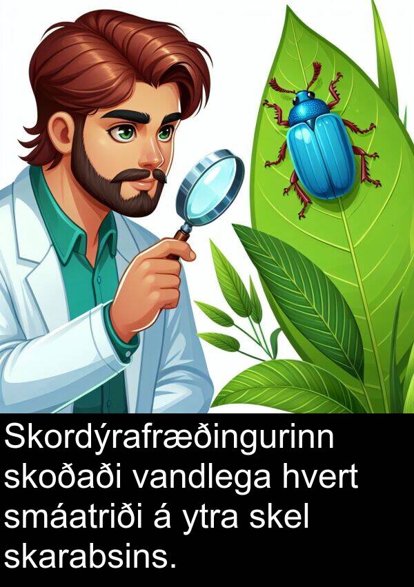 skoðaði: Skordýrafræðingurinn skoðaði vandlega hvert smáatriði á ytra skel skarabsins.