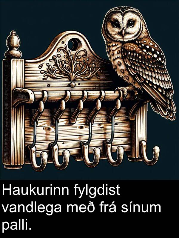 vandlega: Haukurinn fylgdist vandlega með frá sínum palli.