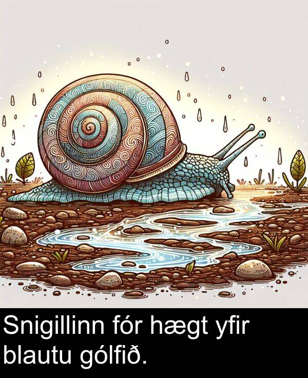 yfir: Snigillinn fór hægt yfir blautu gólfið.