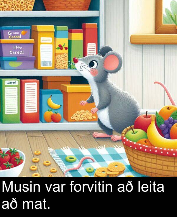 var: Musin var forvitin að leita að mat.