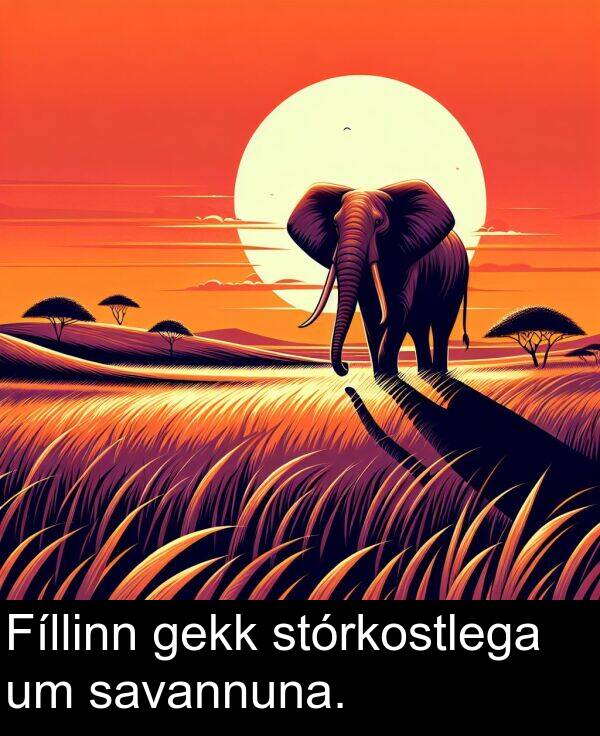 gekk: Fíllinn gekk stórkostlega um savannuna.
