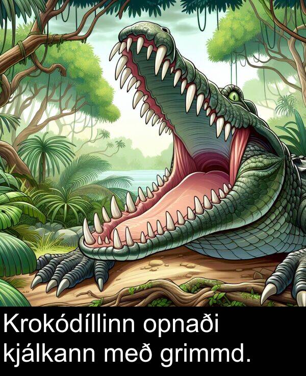 kjálkann: Krokódíllinn opnaði kjálkann með grimmd.