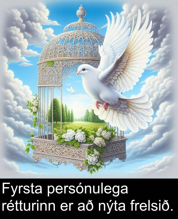 persónulega: Fyrsta persónulega rétturinn er að nýta frelsið.