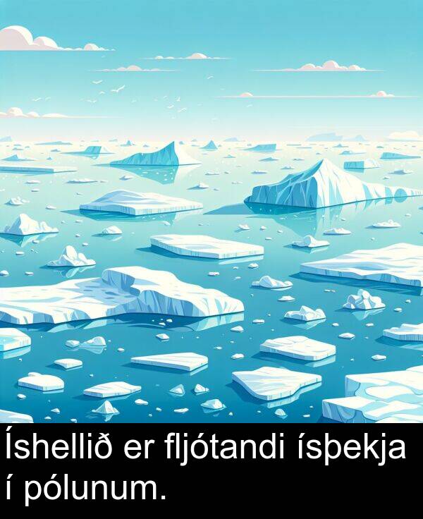 pólunum: Íshellið er fljótandi ísþekja í pólunum.