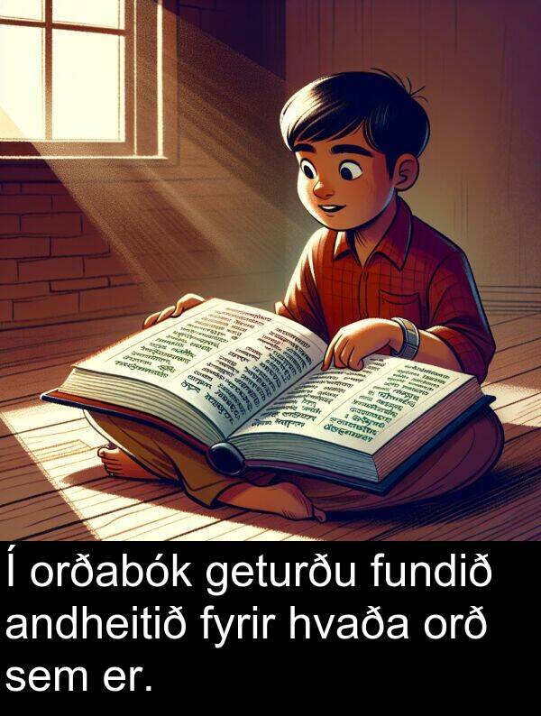 orð: Í orðabók geturðu fundið andheitið fyrir hvaða orð sem er.