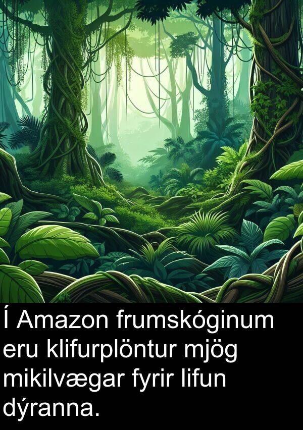 dýranna: Í Amazon frumskóginum eru klifurplöntur mjög mikilvægar fyrir lifun dýranna.