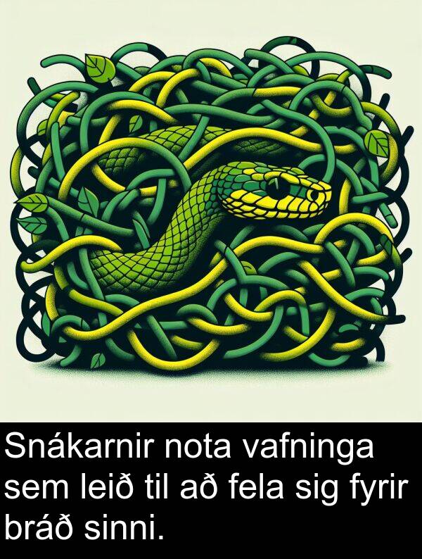 vafninga: Snákarnir nota vafninga sem leið til að fela sig fyrir bráð sinni.
