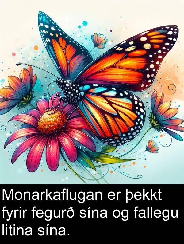 þekkt: Monarkaflugan er þekkt fyrir fegurð sína og fallegu litina sína.