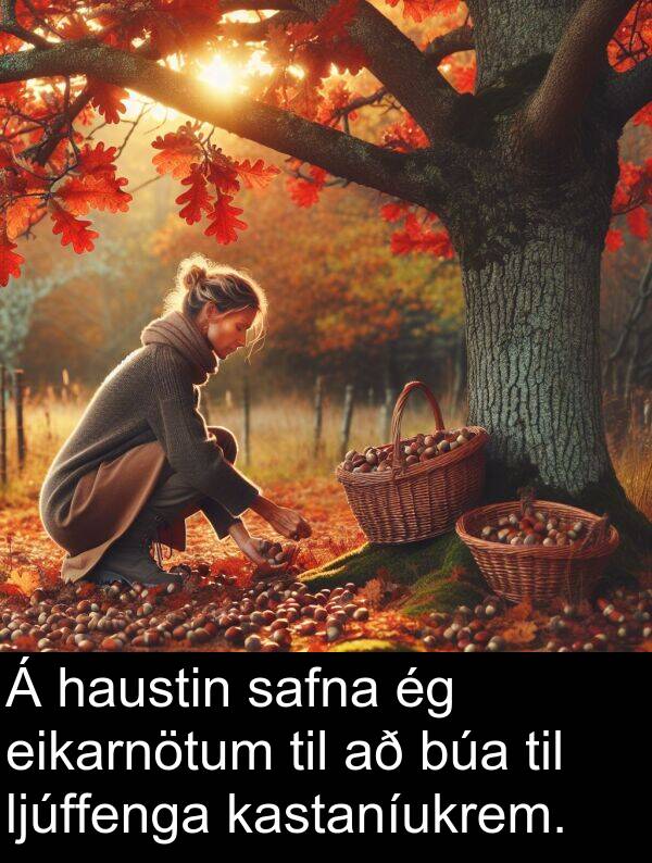 eikarnötum: Á haustin safna ég eikarnötum til að búa til ljúffenga kastaníukrem.