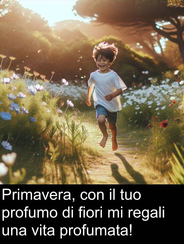 vita: Primavera, con il tuo profumo di fiori mi regali una vita profumata!