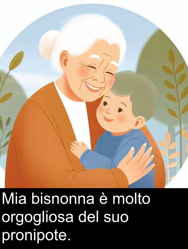 pronipote: Mia bisnonna è molto orgogliosa del suo pronipote.