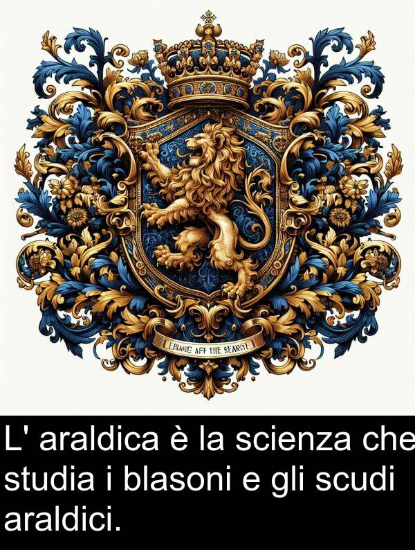 studia: L' araldica è la scienza che studia i blasoni e gli scudi araldici.
