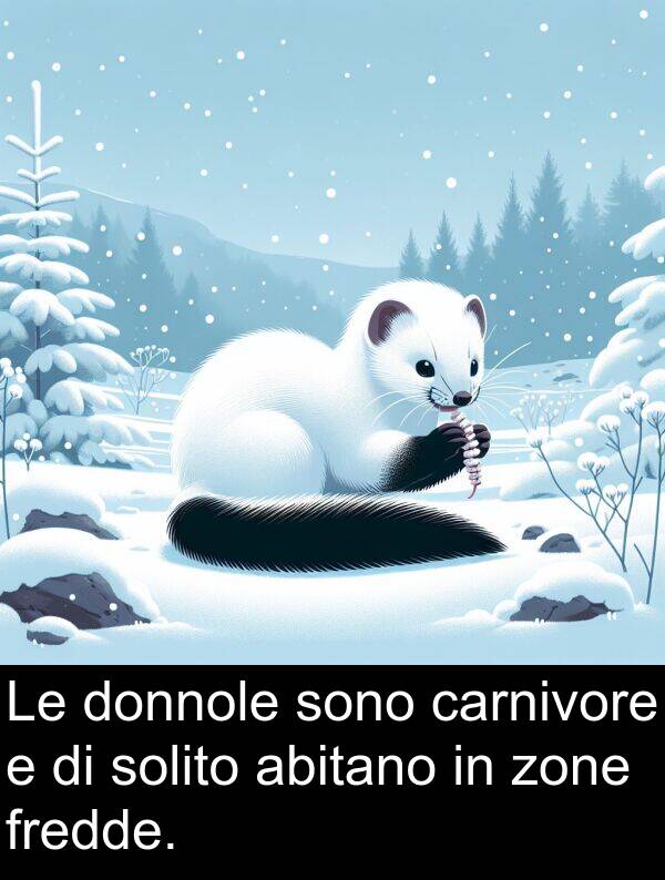 zone: Le donnole sono carnivore e di solito abitano in zone fredde.