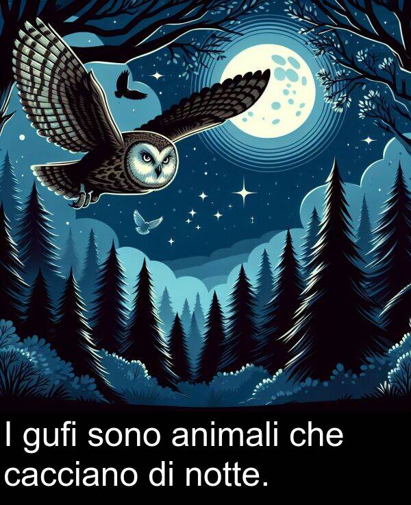 cacciano: I gufi sono animali che cacciano di notte.