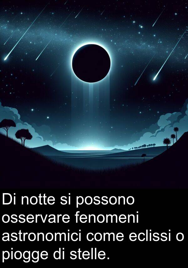 fenomeni: Di notte si possono osservare fenomeni astronomici come eclissi o piogge di stelle.