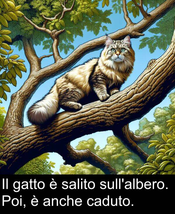 salito: Il gatto è salito sull'albero. Poi, è anche caduto.
