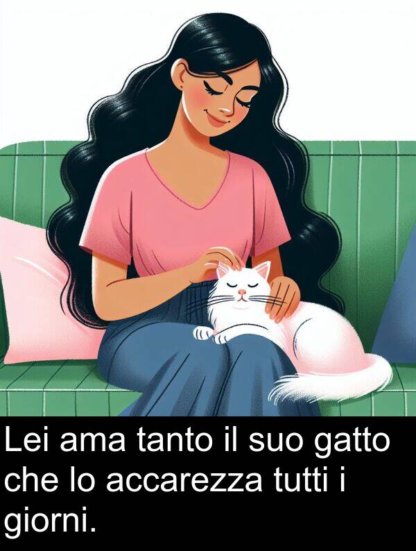 gatto: Lei ama tanto il suo gatto che lo accarezza tutti i giorni.