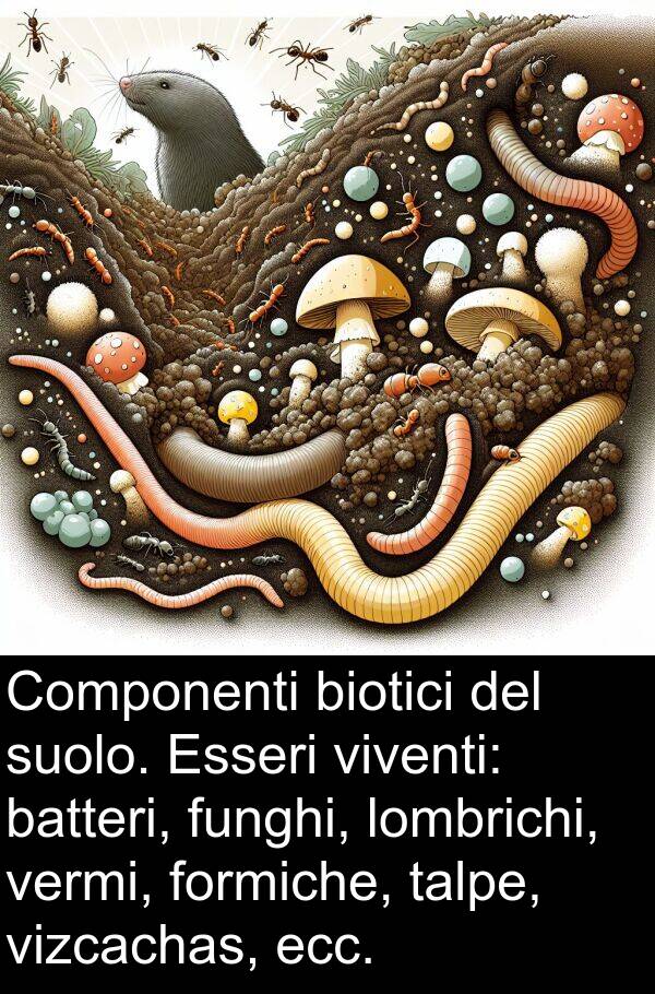 batteri: Componenti biotici del suolo. Esseri viventi: batteri, funghi, lombrichi, vermi, formiche, talpe, vizcachas, ecc.