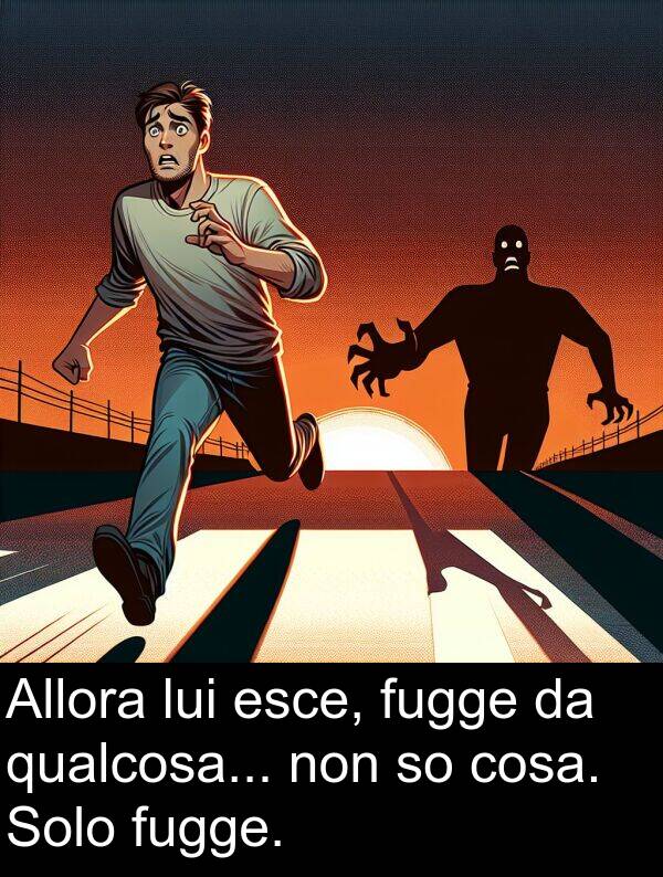 cosa: Allora lui esce, fugge da qualcosa... non so cosa. Solo fugge.