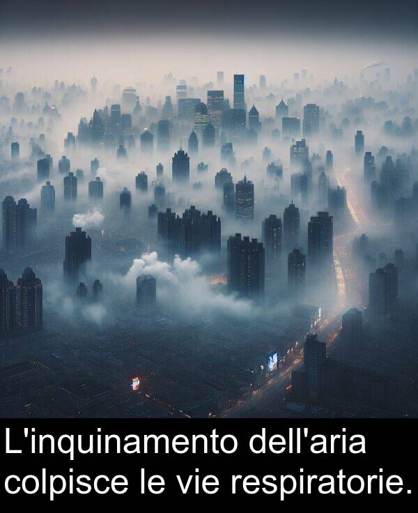 colpisce: L'inquinamento dell'aria colpisce le vie respiratorie.
