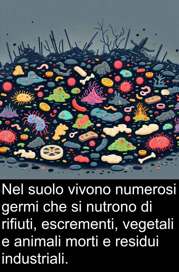 vegetali: Nel suolo vivono numerosi germi che si nutrono di rifiuti, escrementi, vegetali e animali morti e residui industriali.