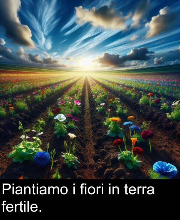 fiori: Piantiamo i fiori in terra fertile.