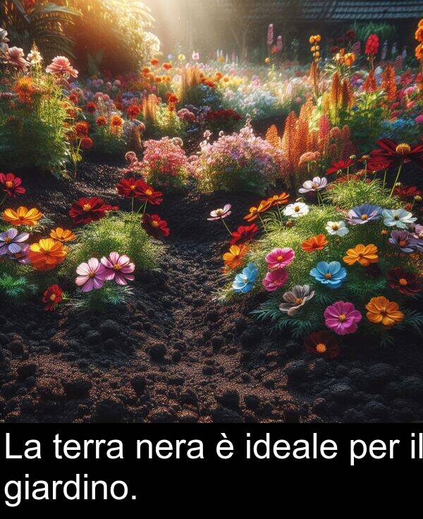 per: La terra nera è ideale per il giardino.