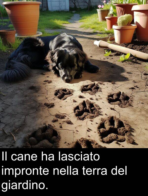 cane: Il cane ha lasciato impronte nella terra del giardino.