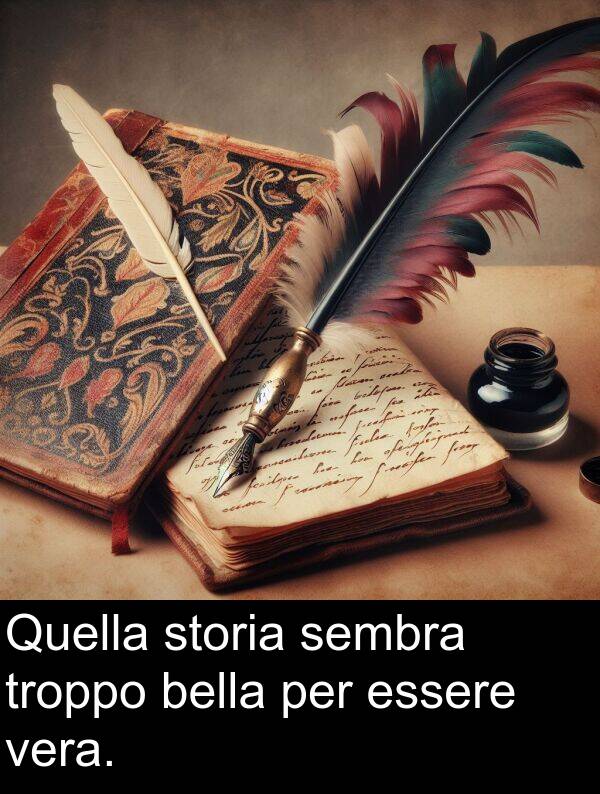 bella: Quella storia sembra troppo bella per essere vera.