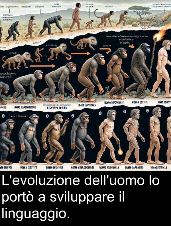 sviluppare: L'evoluzione dell'uomo lo portò a sviluppare il linguaggio.