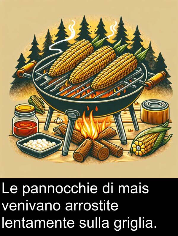 pannocchie: Le pannocchie di mais venivano arrostite lentamente sulla griglia.