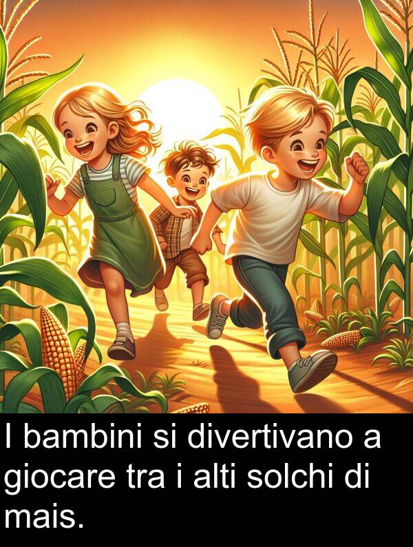 tra: I bambini si divertivano a giocare tra i alti solchi di mais.