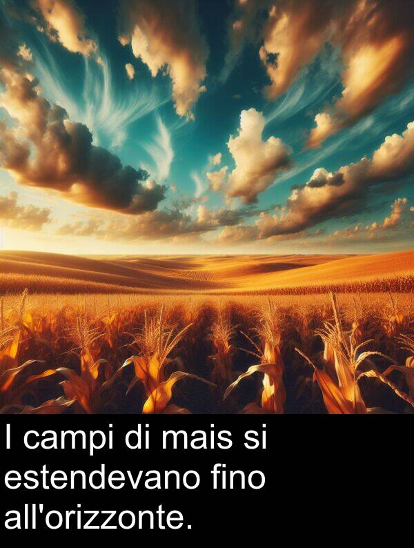 mais: I campi di mais si estendevano fino all'orizzonte.
