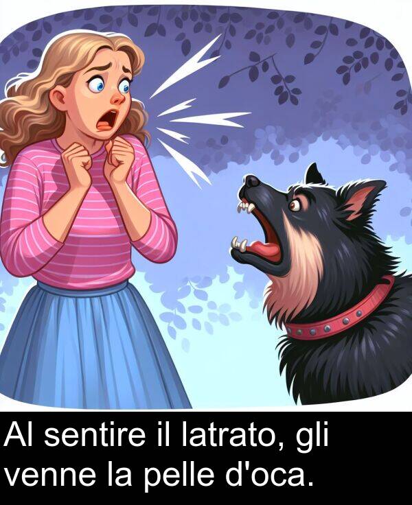 latrato: Al sentire il latrato, gli venne la pelle d'oca.