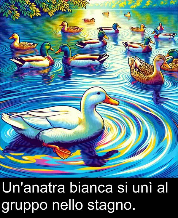 bianca: Un'anatra bianca si unì al gruppo nello stagno.