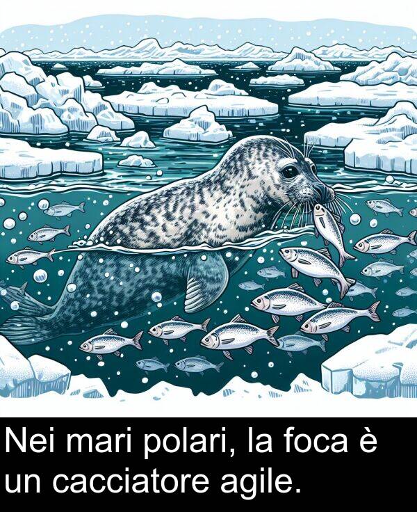 cacciatore: Nei mari polari, la foca è un cacciatore agile.