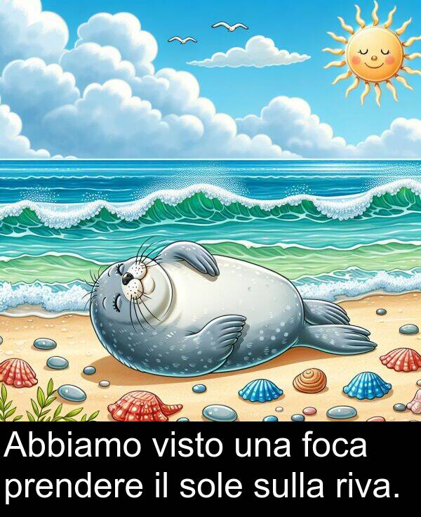 sulla: Abbiamo visto una foca prendere il sole sulla riva.