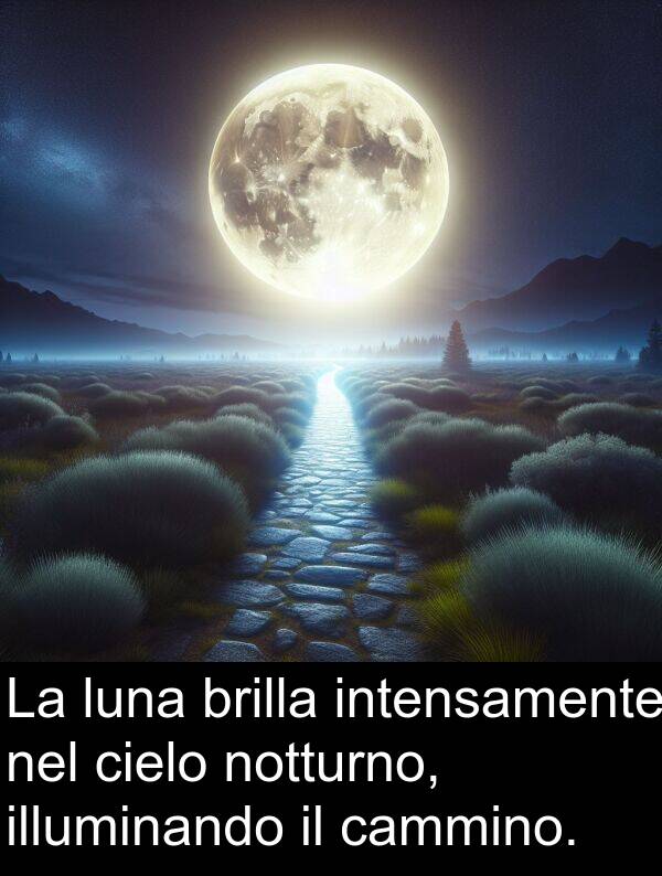 luna: La luna brilla intensamente nel cielo notturno, illuminando il cammino.