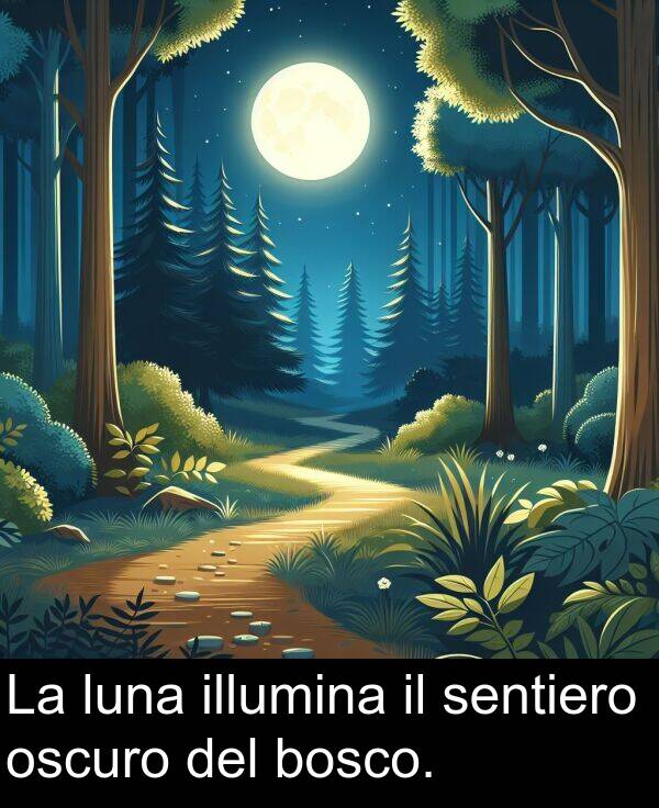 del: La luna illumina il sentiero oscuro del bosco.