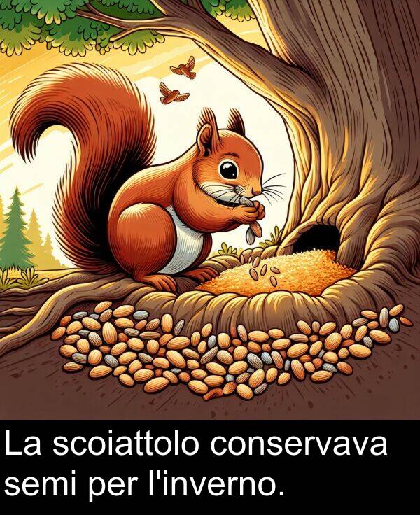 per: La scoiattolo conservava semi per l'inverno.