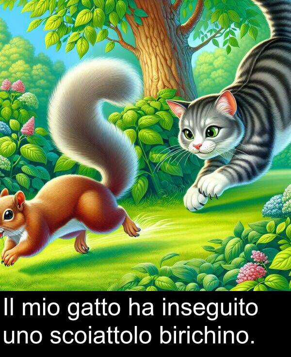 gatto: Il mio gatto ha inseguito uno scoiattolo birichino.